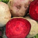 현선농장 이미지