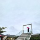 정원시장 이미지