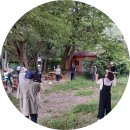 상관 공기마을 편백숲 | [숲 탐방] 한여름 아침의 꿈, 상관(공기마을) 편백 숲 탐방 이야기