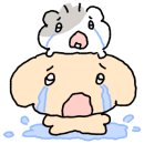 주정차단속-114 이미지