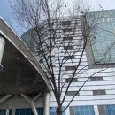 노리박스게임연구소 이미지