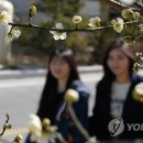 꽃샘길 화장실 이미지