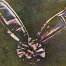 무지개인력 - 부안군 용계길 49 | 무지개인력