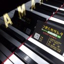 애니카랜드 영운점 이미지