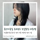 MK 리버티하우스 | 용산미용실 톤다운 염색 전문 대웅쌤 다크브라운 염색후기 온리포유 한남본점