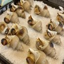 [광진/자양] 꿉는집 :: 가볍게 즐기기 좋은 특별한 구이 요리 맛집, 자양동 술집 추천