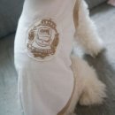 강아지 옷 만들기 이미지