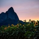 진안군 농업기술센터 이미지