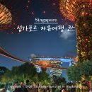 제일슈퍼 | 싱가포르 자유여행 코스 야경투어 추천 리버크루즈 슈퍼트리쇼 후기
