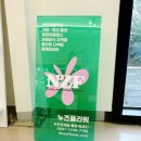 누즈플라워