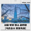 커피공예뱅크 | 2026 석촌호수 벚꽃축제 완벽 정리/주차,포토존,야경까지