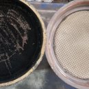 시민1급자동차정비 이미지