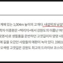 복골양지마을메밀국수