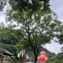 족욕 | 전주 족욕카페 전망 후기