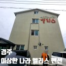 경주 숙소 추천 엘리스 펜션 엘리스6번방 투숙 후기