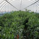 큰부자농장 이미지