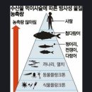 후쿠시마 근황과 방사능이 인체에 미치는 영향....자료 더 첨부해서 재업 합니다 이미지