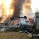 옥산리목장 연합뉴스