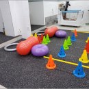 삼정동물병원 이미지