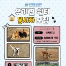 [모집] 1365 천안 유기견 쉼터 봉사자 모집 | 제한없음 | 마감 04/29 이미지