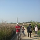 하늘공원 이미지