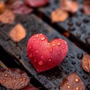7291 | 11월 늦가을 좋은 아침 인사말 쌀쌀한 날씨에 감기 조심하세요 건강하세요 행복하세요 사랑해요 가을...