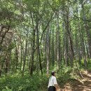이*완 - 안양시 만안구 안양로398번길 | 여름 민둥산 증산초교 급-완 코스 후기(with.돌리네)