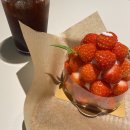 더 (The) 달퐁 | 내돈내산/ 신생아아기포대기 달퐁포대기 아기띠추천 아기 재우고 여유로운 커피마시기