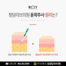 청담리브의원 이미지