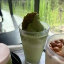 제주도 오설록 티 뮤지엄 첫방문 후기!