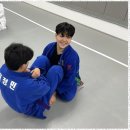 튼튼유도 이미지