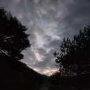 춘양농협 소천지점 | 일상...