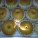 재봉농장 이미지