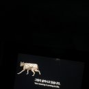 아르떼뮤지엄 이미지