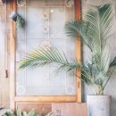 카페두가시 이미지