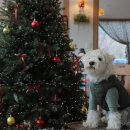 웜브리즈 이미지