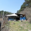 괴산군감물면이담보건진료소 | 충청북도 괴산군 감물면 이담리 529 대지 경매