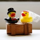 성혼결혼정보 이미지