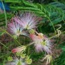 아침농장 이미지