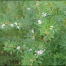 산내초교 이미지