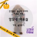 앙꼬네 미용실 이미지