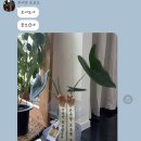 그레이스가든경주 이미지