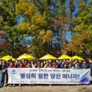 우먼&힐링 네이버블로그