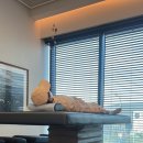 박정욱한의원 이미지