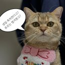 멍깨비마켓 이미지