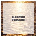 디지털온치과의원 이미지