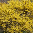 조은요양보호사교육원 이미지