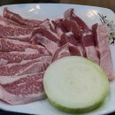 우주생고기 이미지