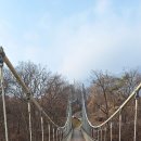 포천 한탄강 가든페스타 이미지