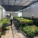 더팜코리아 이미지